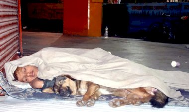 कुत्ते के संग लेटे इस मासूम की तस्वीर रुला देगी आपको, मां- बाप ने छोड़ा हाथ तो बेजुबान ने दिया साथ