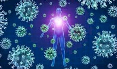 Coronavirus Update : देश में 1 करोड़ 56 हजार पहुंचा आंकड़ा, दिल्ली में 24 घंटे में 26 की मौत