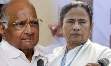बीजेपी से तनाव के बीच ममता ने शरद पवार से टेलीफोन पर की बात, मिला विपक्षी दलों का साथ