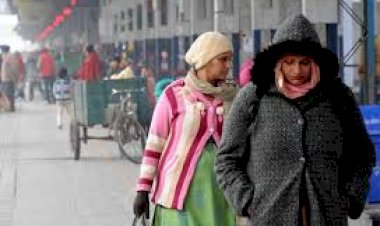 Cold Weather: शीतलहरी से कांपेगी दिल्ली, अगले 72 घंटे के लिए मौसम विभाग का अलर्ट