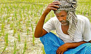 व्यापारी ने नहीं ली फसल तो किसान ने की आत्महत्या, सदमे में भाई की भी हार्ट अटैक से मौत