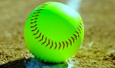 भारतीय साफ्टबॉल महासंघ की पहली महिला अध्यक्ष बनीं नीतल नारंग, पहले भारतीय साफ्टबॉल महासंघ की उपाध्यक्ष थीं