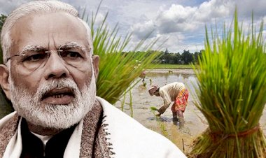 Live Update : पीएम मोदी ने अरुणाचल के किसान से पूछा,जिनसे अनुबंध किया वो फसल के साथ जमीन भी ले गए क्या