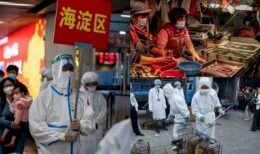 Coronavirus को लेकर खुलासा करने वाले चीन की महिला पत्रकार को चार साल की सजा, मिलने के लिए भी कोर्ट ने किया मना