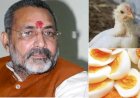 Bird Flu को लेकर केंद्रीय मंत्री गिरिराज सिंह ने की अपील, कहा- मीट और अंडे को पूरी तरह पकाकर खाएं