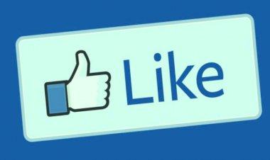Facebook ने पब्लिक पेज को किया अपडेट, पेज पर अब नहीं मिलेगा लाइक बटन-जानिए यूजर्स पर क्या फर्क पड़ेगा