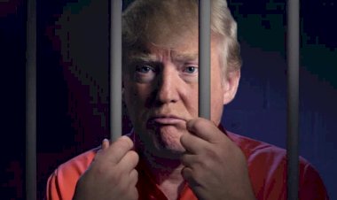 पद से इस्तीफा देते ही बढ़ सकती है ट्रंप की मुश्किलें, जा सकते है जेल, 20 जनवरी का हो रहा है इंतज़ार