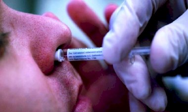 Nasal Vaccine: भारत बायोटेक ने बनाई कोरोना की नेजल वैक्सीन, ट्रायल के लिए DCGI से मांगी मंजूरी