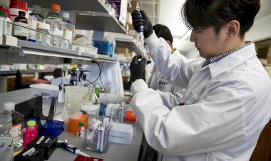 Coronavirus Update : पॉजिटिविटी रेट 5.6% पर बरकरार, 1 करोड़ 6 लाख 68 हजार 332 लोग संक्रमण की चपेट में