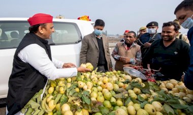 ठेले पर रूके अखिलेश, बोले- भाई अभी भी इलाहाबादी अमरूद कहलाता है या ‘प्रयागराजी अमरूद’ हो गया है?