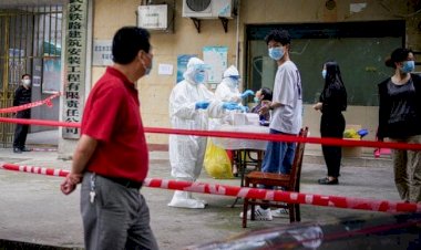 Coronavirus को लेकर WHO को मिली बड़ी कामयाबी,  चीन की वायरस लैब में पहुंच गई जांच टीम