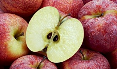 Apple benefits: खतरनाक बीमारियों से बचाता है सेब, हर सुबह 1 सेब खाने के ये ये है फायदे….