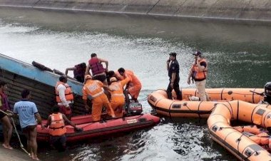 मध्यप्रदेश: यात्रियों से भरी बस बाणसागर डैम में गिरी, 35 शव मिले-कई लोग अब भी लापता