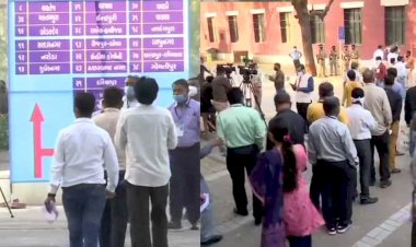 Gujarat Municipal Result LIVE : निकाय चुनाव में BJP के साथ AAP का भी जादू बरकरार, 8 सीटों पर 'आप' आगे