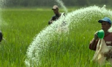 अगले साल से कृषि बजट अलग होगा पेश, गहलोत सरकार ने बजट में अन्नदाताओं के लिए की ये  घोषणाएं