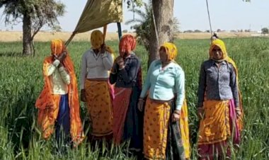 एक्सप्रेस वे की जमीन पर किसानों ने उगाई फसल, पुलिस और किसानों में जमकर लाठी-भाटा जंग, कई घायल