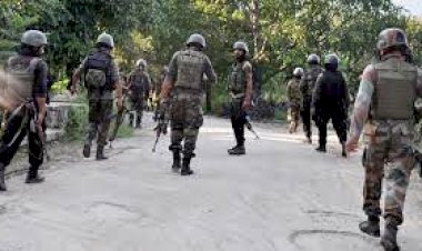 Srinagar Petrol Bomb Attack : CRPF कैंप पर पेट्रोल बम हमला, सभी सुरक्षित, हमले में OGW का हाथ