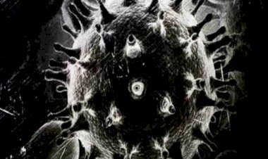 केंद्र सरकार ने राज्यों से कहा- ब्लैक फंगस को घोषित करें महामारी, हर मामले को करें रिपोर्ट