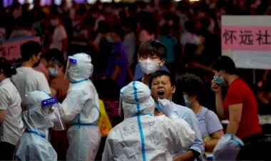 Coronavirus के बाद दुनिया पर एक और चीनी खतरे का साया! इंसान में H10N3 बर्ड फ्लू का पहला केस