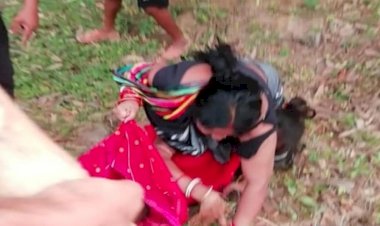 ओडिशा में इंसानियत को शर्मसार, महिला ने 6 कुत्तों को जहर देकर मार डाला! जानिए क्या है पूरा मामला