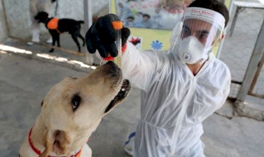 Coronavirus Update : 24 घंटे में देश में 20 हजार 799 नए मामले आए सामने, 180 लोगों की मौत, जानिए बाकि राज्यों के हाल