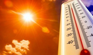 भयंकर गर्मी से इस देश में 69 लोगों की मौत, दी गई चेतावनी