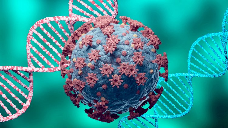 Coronavirus Update :  24 घंटे में मिले 43,393 नए मामले, 911 मरीजों की मौत, जानिए अपने राज्य का हाल