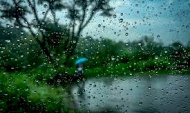 Weather News : IMD ने इन राज्यों में दिया भारी बारिश का Red Alert, जानिए अपने राज्य का हाल
