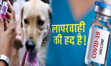 Maharashtra : ठाणे में बड़ी लापरवाही, कोरोना वैक्सीन की जगह लगा दिया एंटी रेबीज का टीका