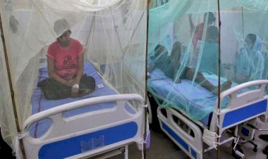 Dengue Case : डेंगू ने मचाया कहर, राजस्थान, उत्तर प्रदेश और दिल्ली में हर दिन आ रहे नए मामले