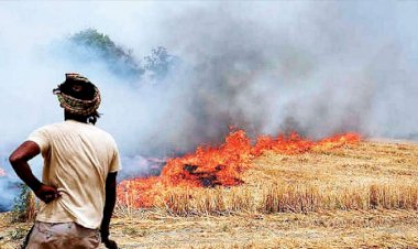 पराली जलाने वाले किसानों को नहीं मिलेगा प्रधानमंत्री नरेंद्र मोदी का तोहफा, जानिए पूरा मामला