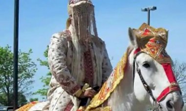 दलित समुदाय के युवक की बारात पर दबंगों ने किया पथराव