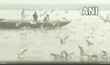 साइबेरियन पक्षियों ने वाराणसी में डाला डेरा, देखें दिल छू लेने वाला वीडियो
