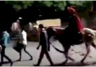 दूल्हे की निकली ऐसी बारात, मामला जानकर लोगों की उड़े होश, देखें viral video
