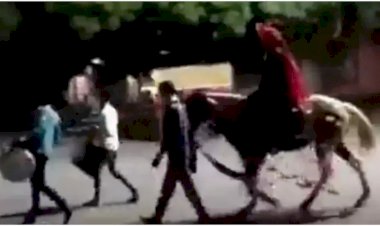 दूल्हे की निकली ऐसी बारात, मामला जानकर लोगों की उड़े होश, देखें viral video