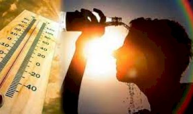 Weather Update: भीषण गर्मी से अगले कुछ दिनों में मिलेगी राहत, दिल्ली समेत इन जगहों पर गरज के साथ होगी बारिश