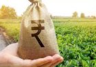 FY23 में 6.8 फीसद हो सकती है भारत की औसत खुदरा महंगाई दर: CRISIL